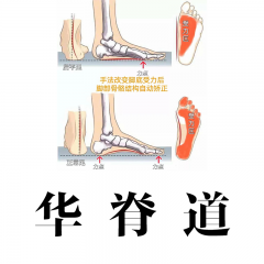 足部矫正|60分钟手法+产品